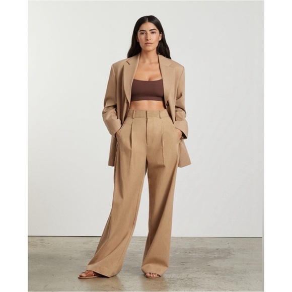 Everlane NWT *** FLAWED ***The Way High Drape Pants Tan / Ash Brown, size 6S - Picture 15 of 15